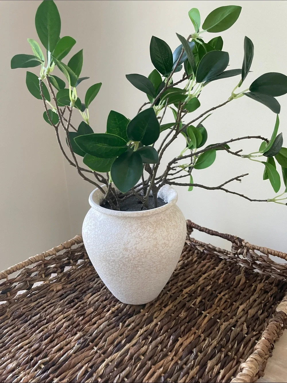 Decorative Cream Ceramic Vase with Green Faux Foliage - Unbranded